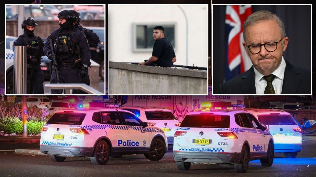 Bondi Beach shooting: Police confirm 16 dead and 40 injured after Hanukkah terrorist attack