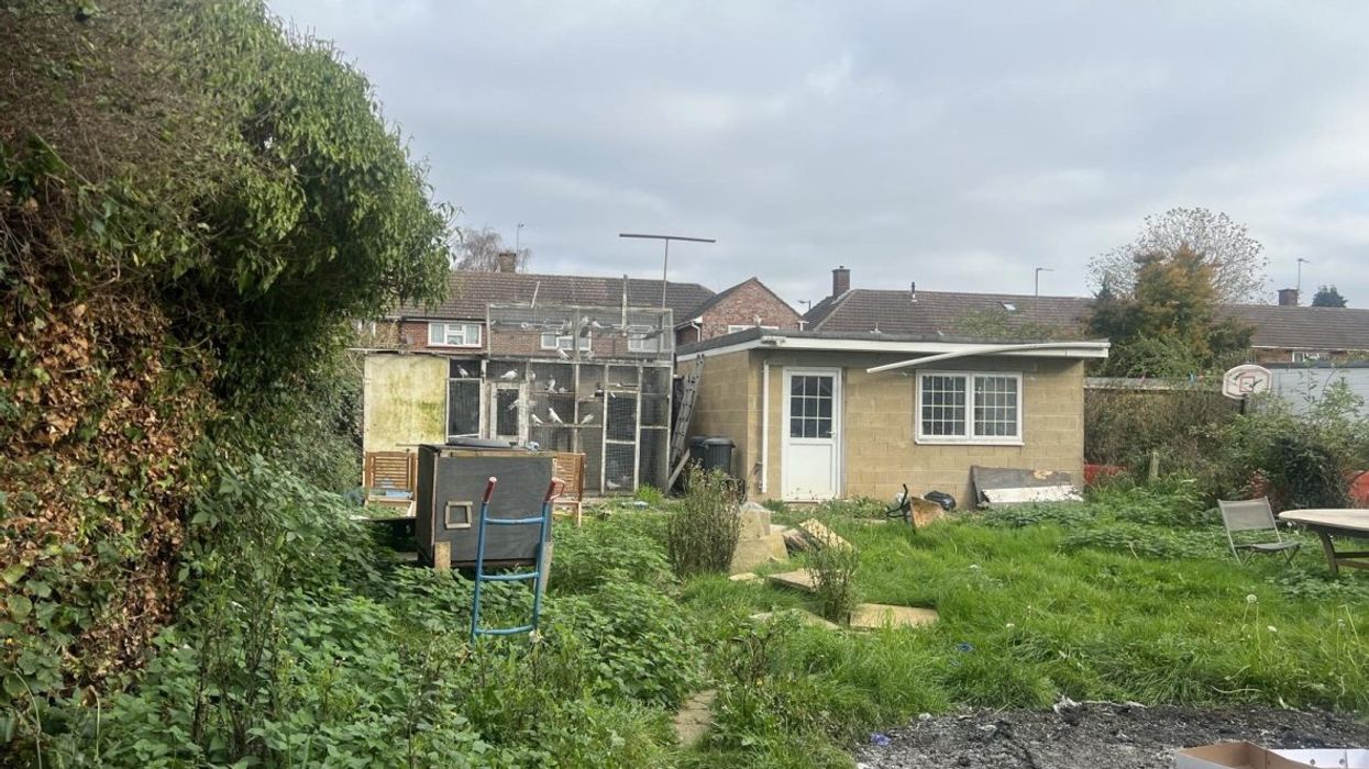 Couple hit with huge fine after building 'unauthorised' home extension to house 100 pigeons