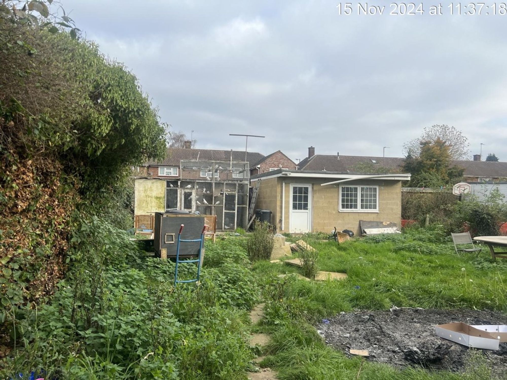 Couple hit with huge fine after building 'unauthorised' home extension to house 100 pigeons