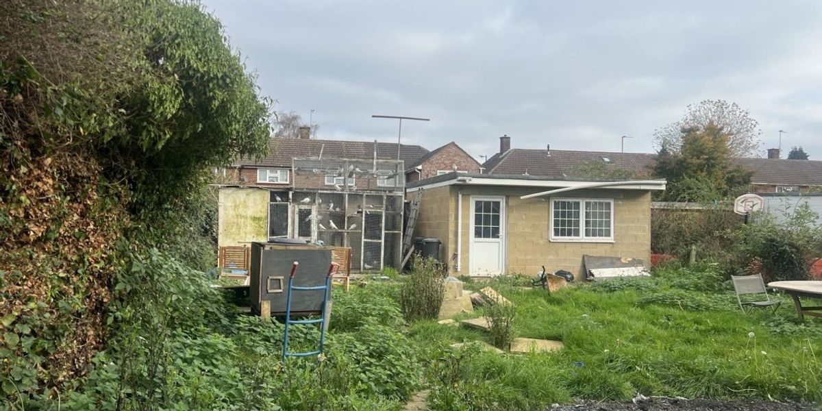 Couple hit with huge fine after building ‘unauthorised’ home extension to house 100 pigeons Couple hit with huge fine after building ‘unauthorised’ home extension to house 100 pigeons
