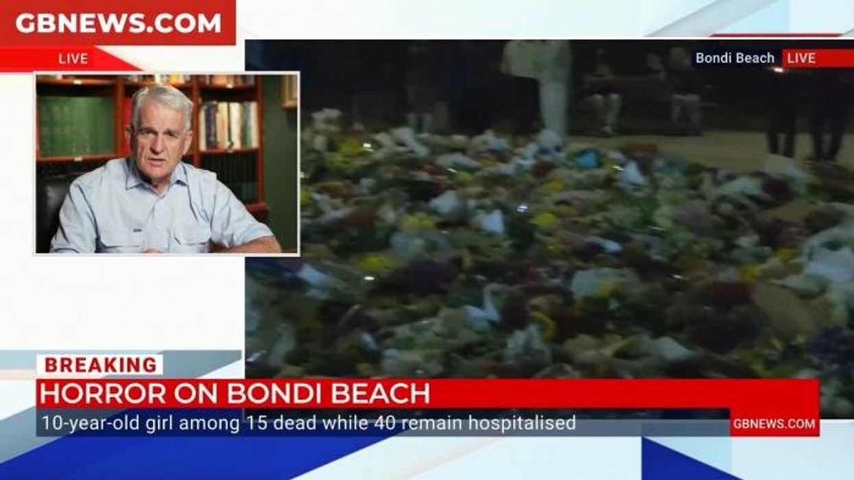 WATCH: Australia's ex-Deputy PM takes aim at 'ineffectiveness' of Government after Bondi Beach shooting