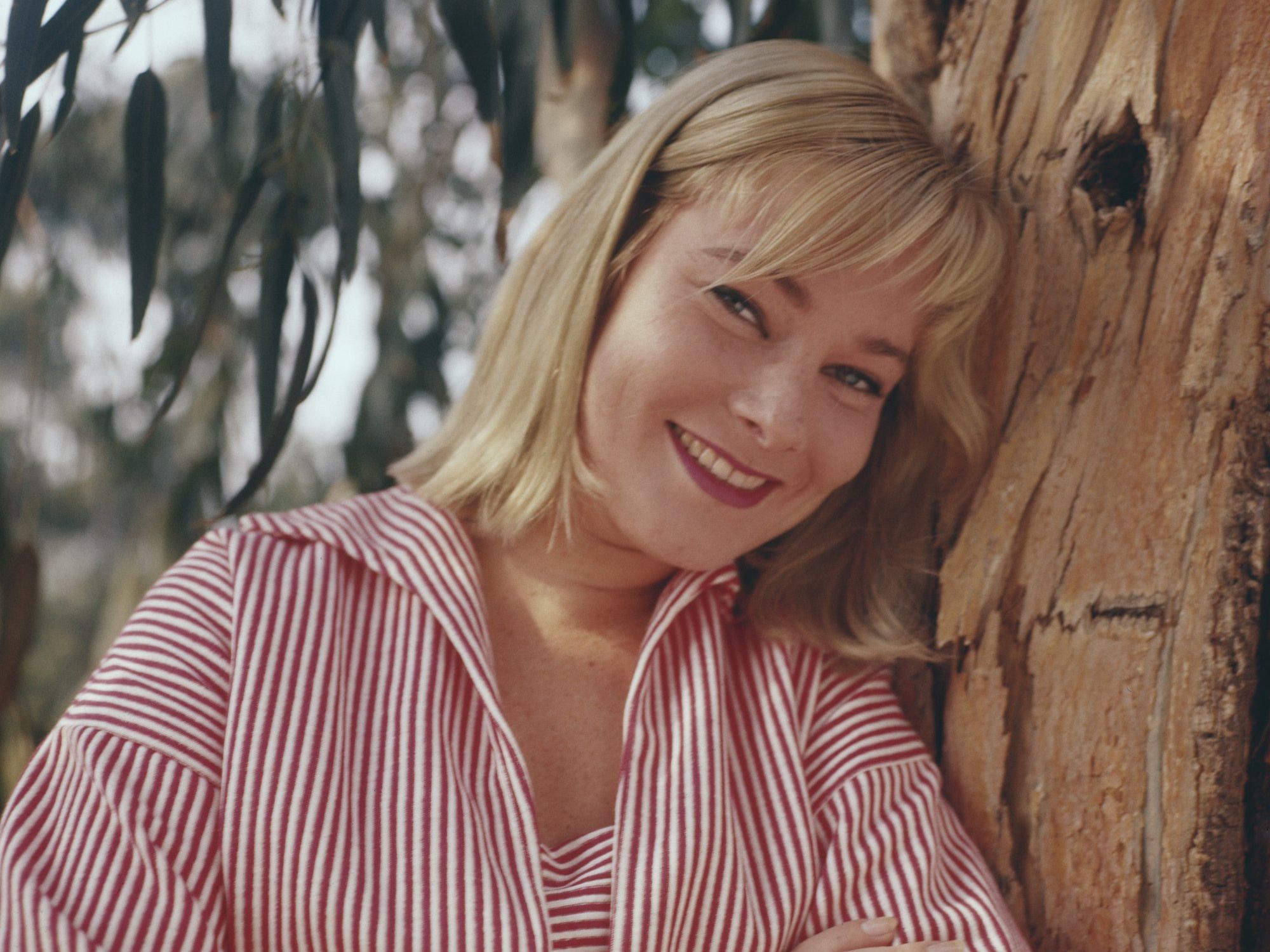 May Britt, actress and wife of Sammy Davis Jr., dies at 91 as tributes pour in for The Blue Angel star