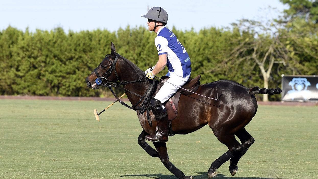Prince Harry suffers injury during polo match