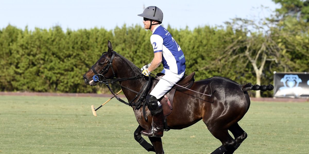 Prince Harry suffers injury during polo match Prince Harry suffers injury during polo match