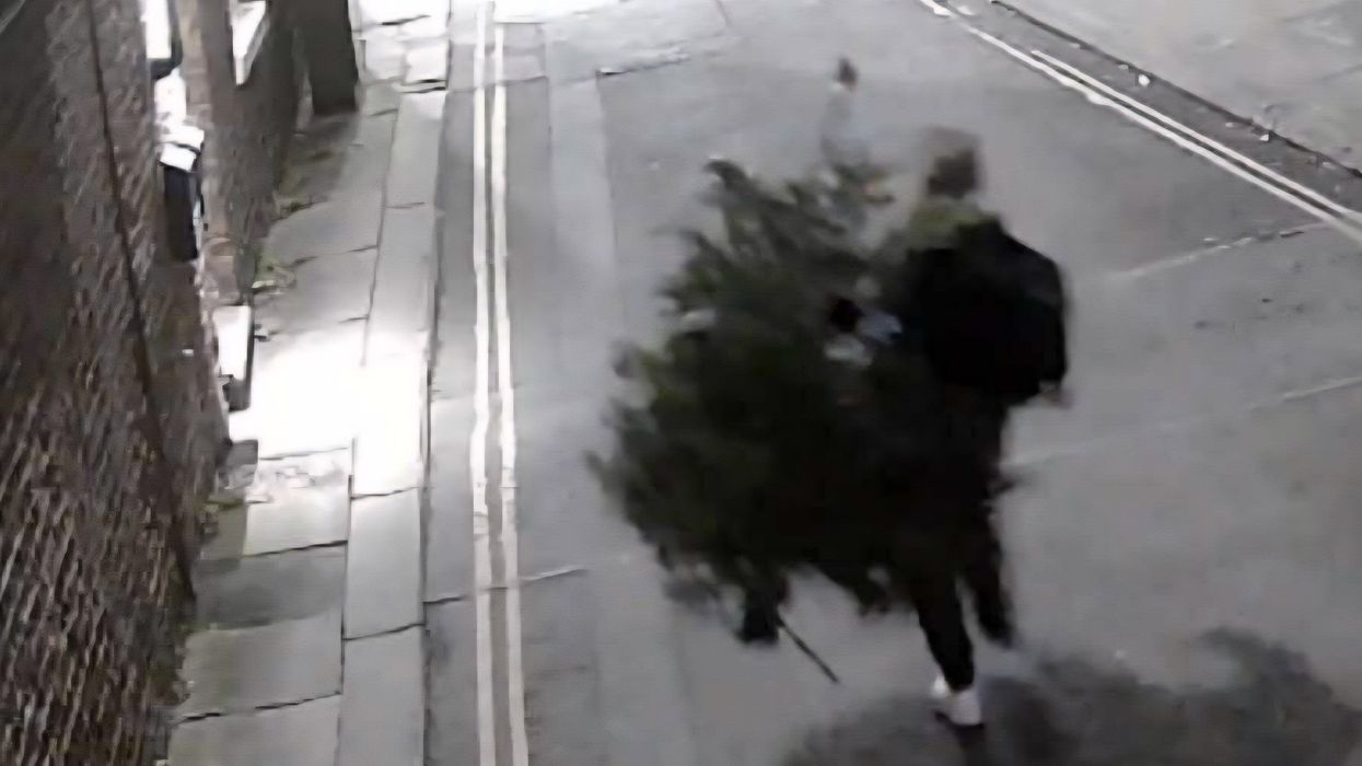 CCTV captures moment ‘Grinch’ brazenly steals Christmas tree from community hub