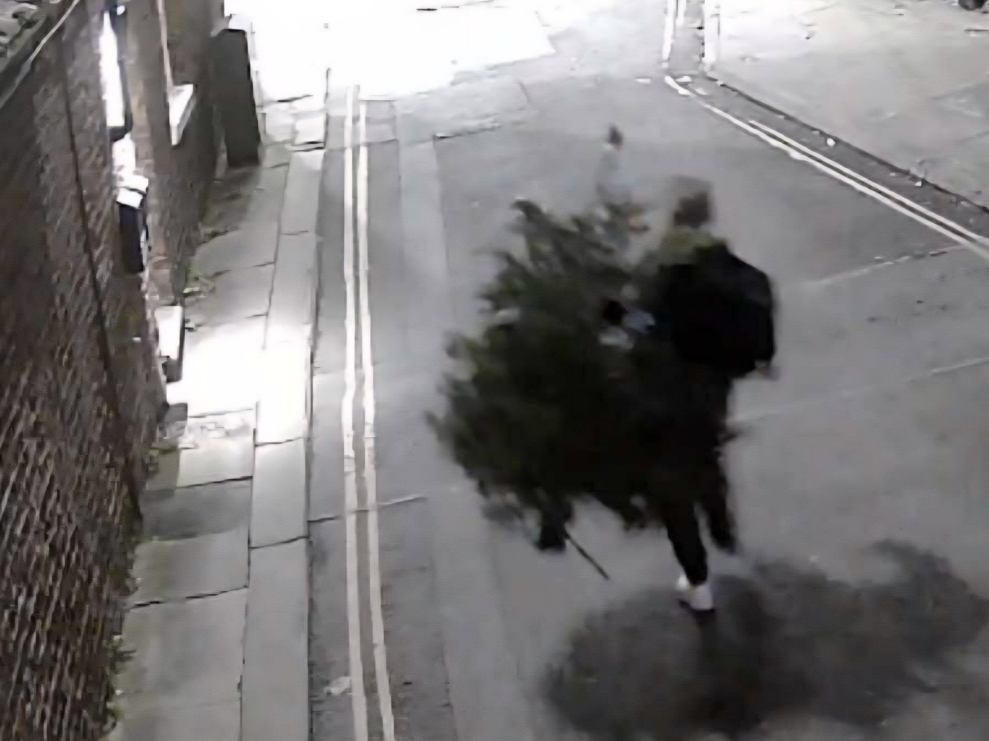 CCTV captures moment ‘Grinch’ brazenly steals Christmas tree from community hub