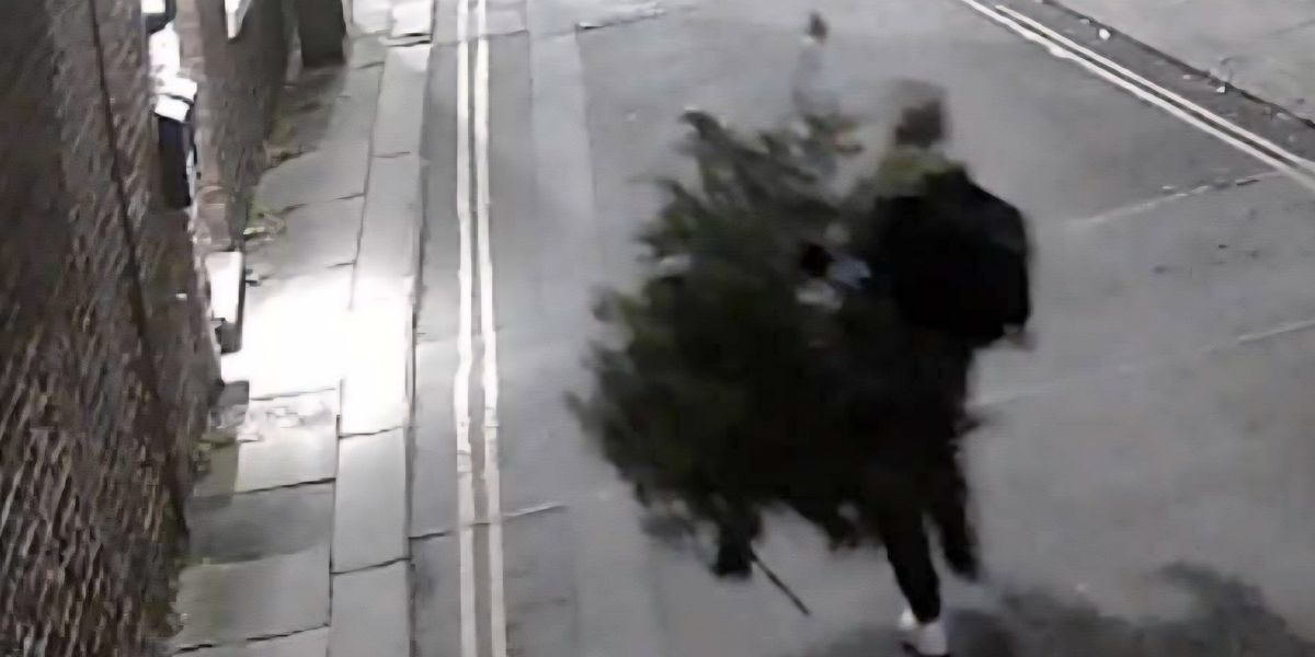 CCTV captures moment ‘Grinch’ brazenly steals Christmas tree from community hub CCTV captures moment ‘Grinch’ brazenly steals Christmas tree from community hub