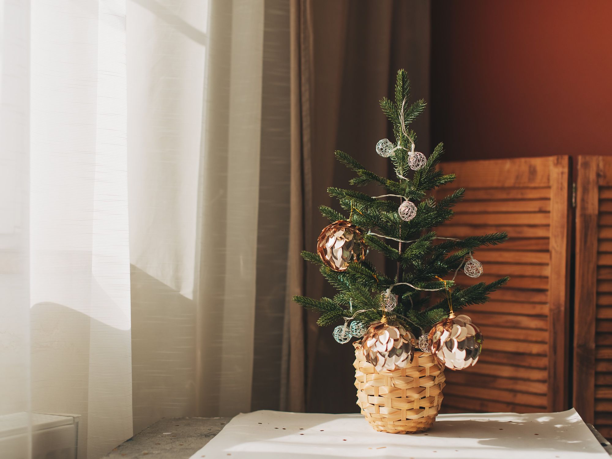 Farmer who owns 'oldest Christmas tree in Wales' brings it out for 94th consecutive year