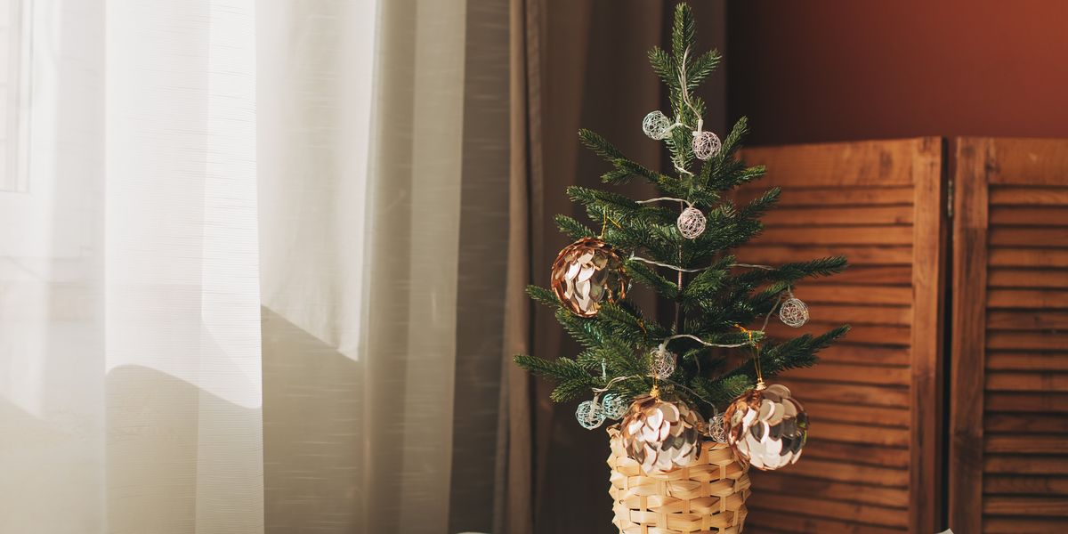 Farmer who owns ‘oldest Christmas tree in Wales’ brings it out for 94th consecutive year Farmer who owns ‘oldest Christmas tree in Wales’ brings it out for 94th consecutive year