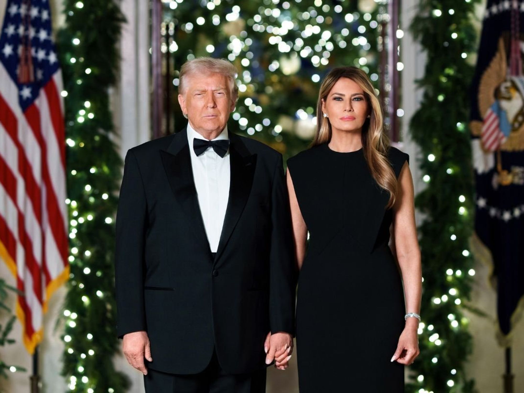 PICTURED: Donald Trump poses for White House Christmas portrait alongside wife Melania