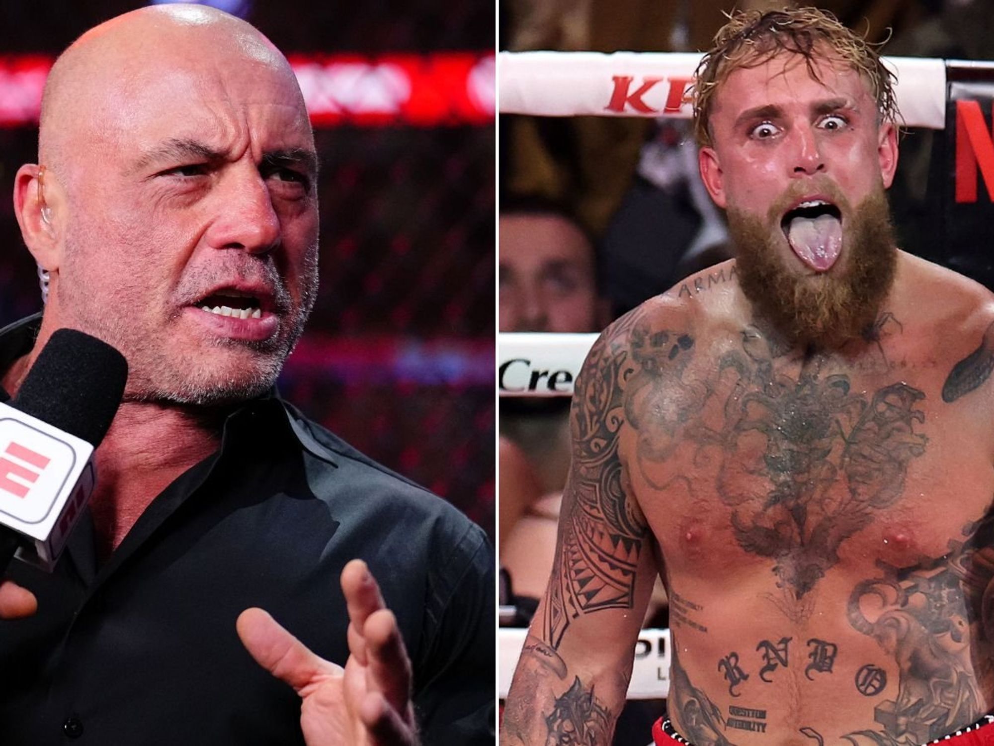 Joe Rogan warns Jake Paul over potential brain damage, depression and addiction after Anthony Jos...