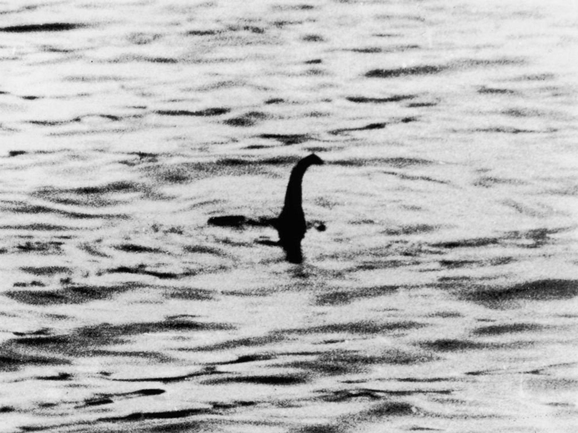 Loch Ness monster expert reveals 'real reason' behind shock sightings