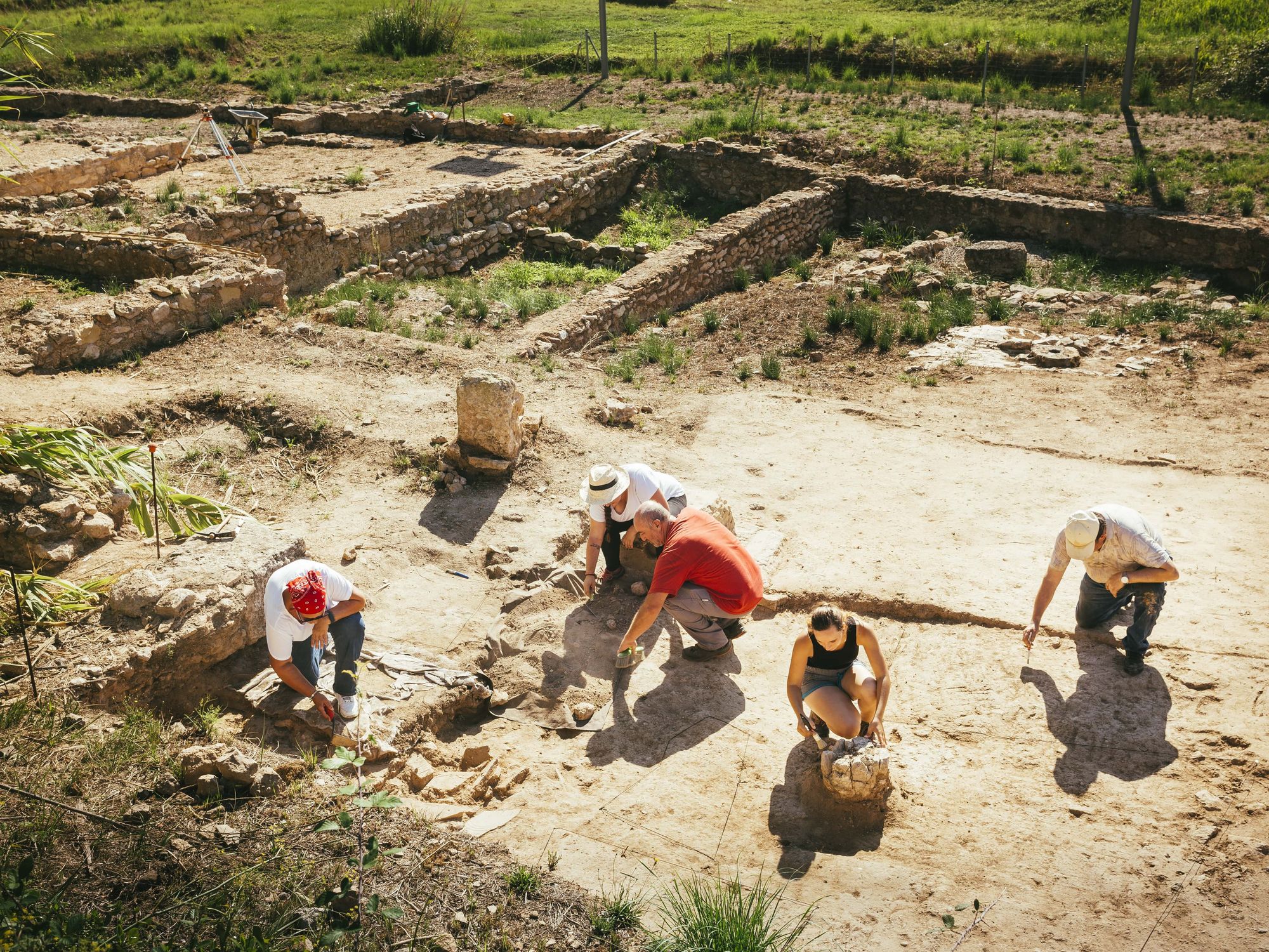 Archaeologists uncover 5,000-year-old dog under lakebed near major European capital