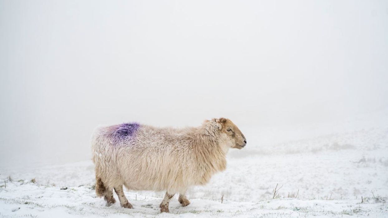 UK weather: 'Powerful Atlantic intrusion' of cyclonic storms set to hit Britain with blasts of snow