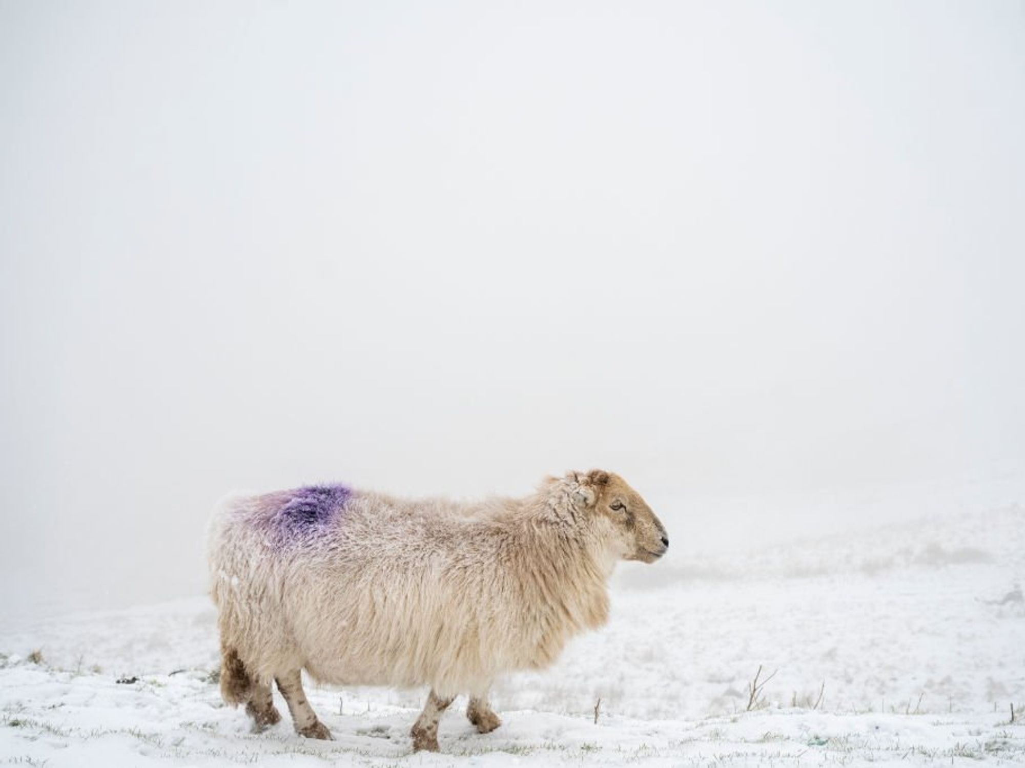 UK weather: 'Powerful Atlantic intrusion' of cyclonic storms set to hit Britain with blasts of snow