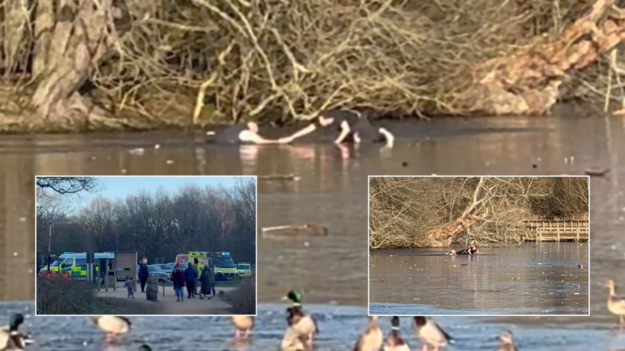 Watch: Hero dives into frozen lake to rescue dog walker who became stuck attempting to save pet