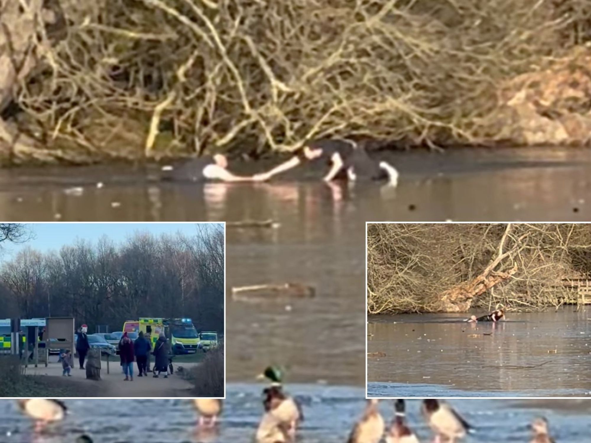 Watch: Hero dives into frozen lake to rescue dog walker who became stuck attempting to save pet