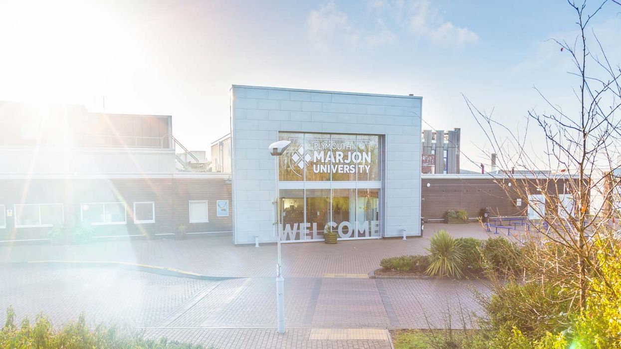 Academic 'stripped of title' after criticising critical race theory that claims racism is embedded in every structure of society