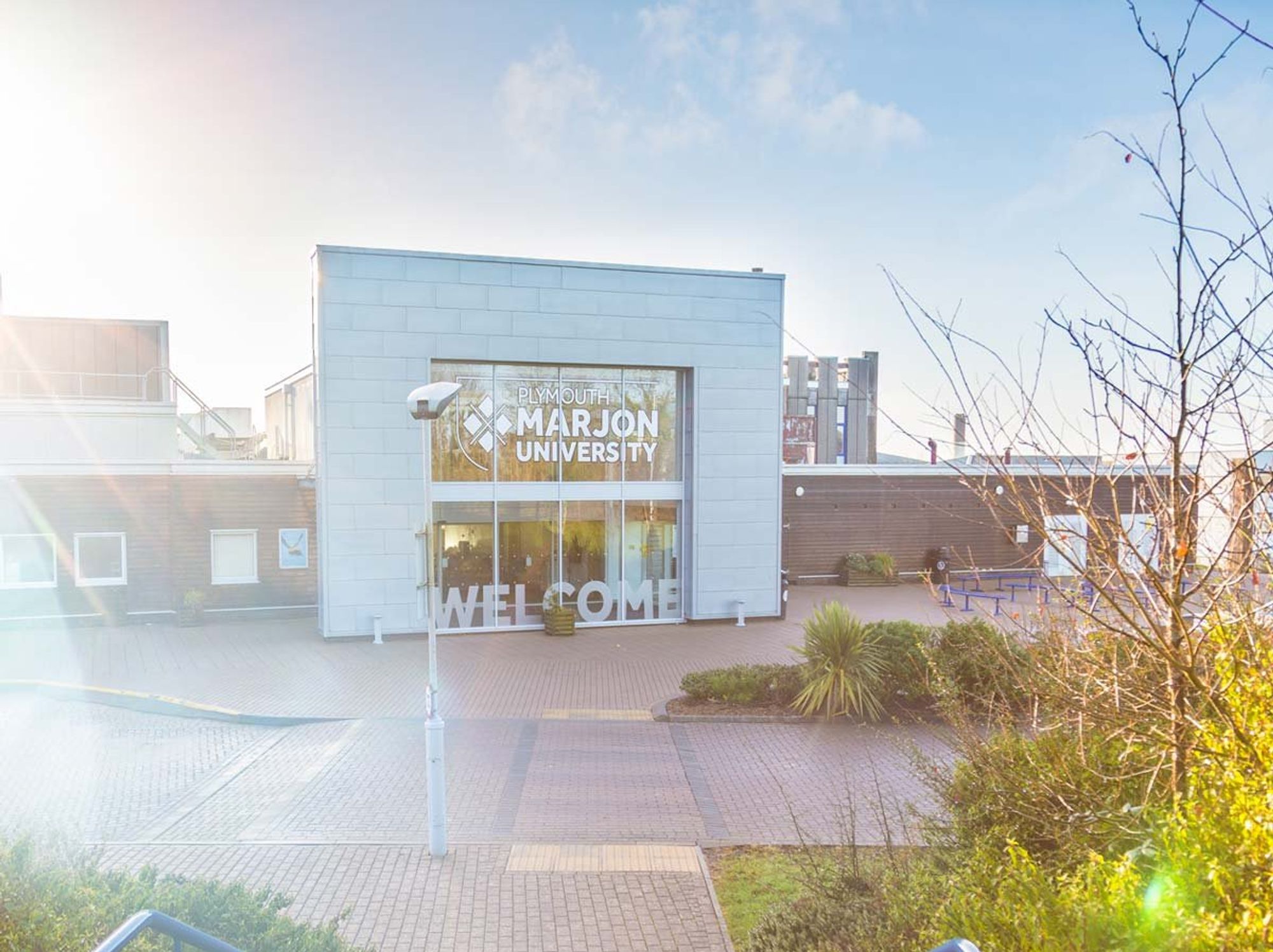 Academic 'stripped of title' after criticising critical race theory that claims racism is embedde...