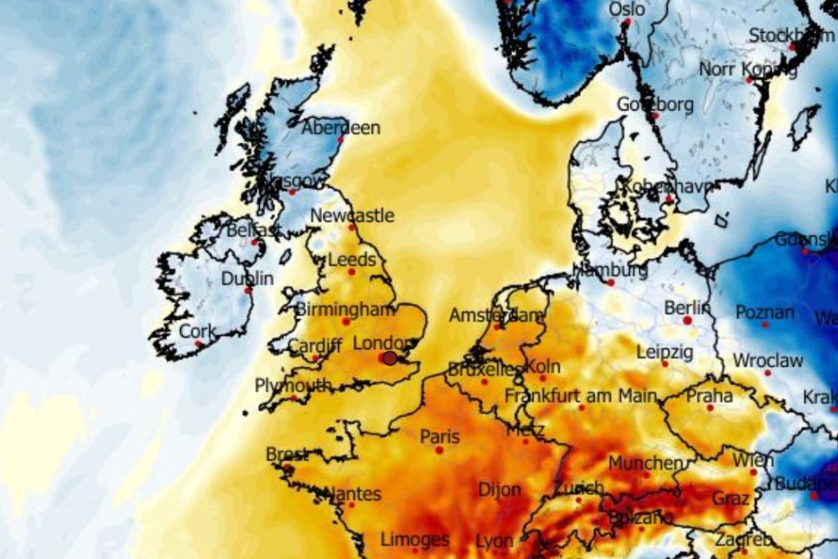 UK weather: Swirling banks of chilly mist threaten to smother Britain in shroud of murky fog