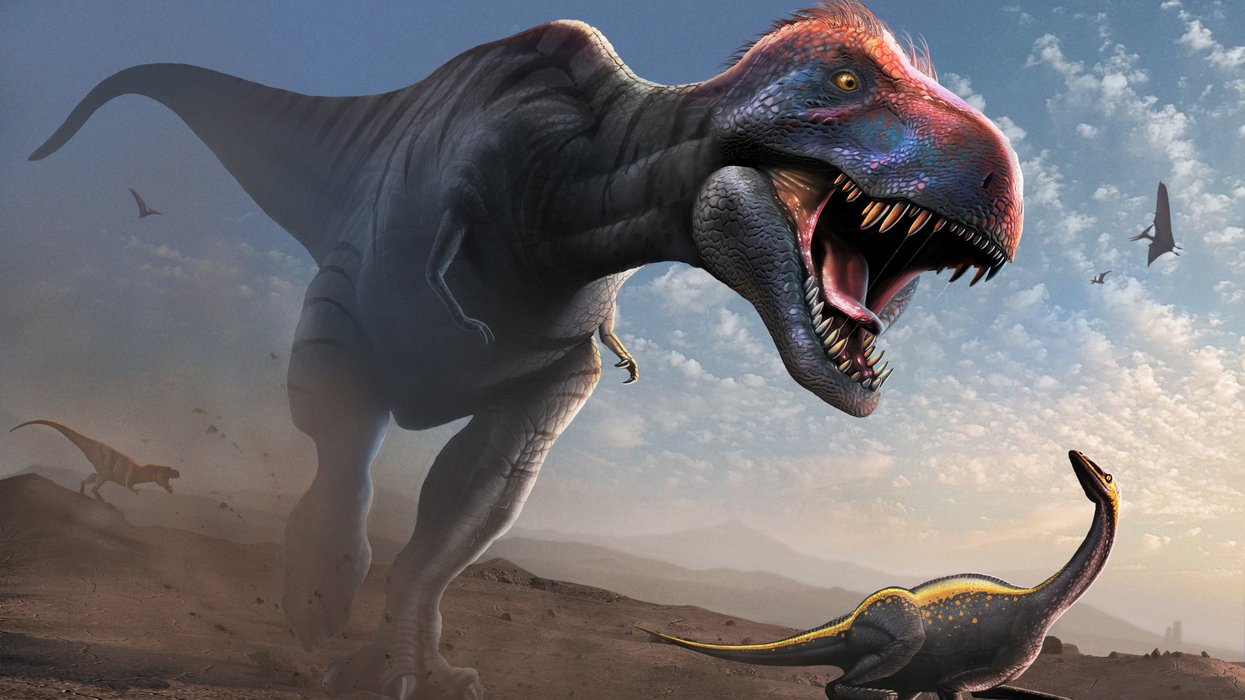 Dinosaur discovery by palaeontologists fundamentally alters scientific understanding of the notorious tyrannosaurus rex