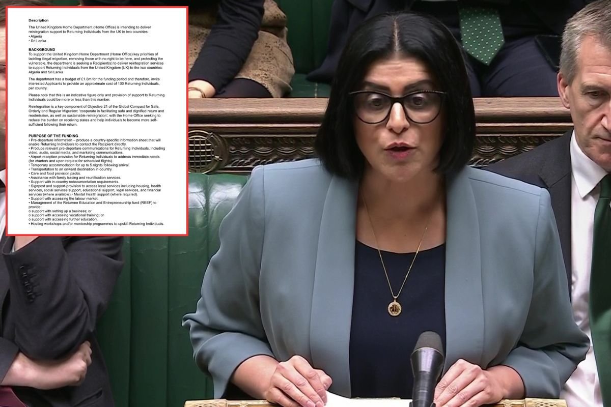 Foreign criminals offered free hotel stays, mental health support and help setting up businesses under Labour's return deals