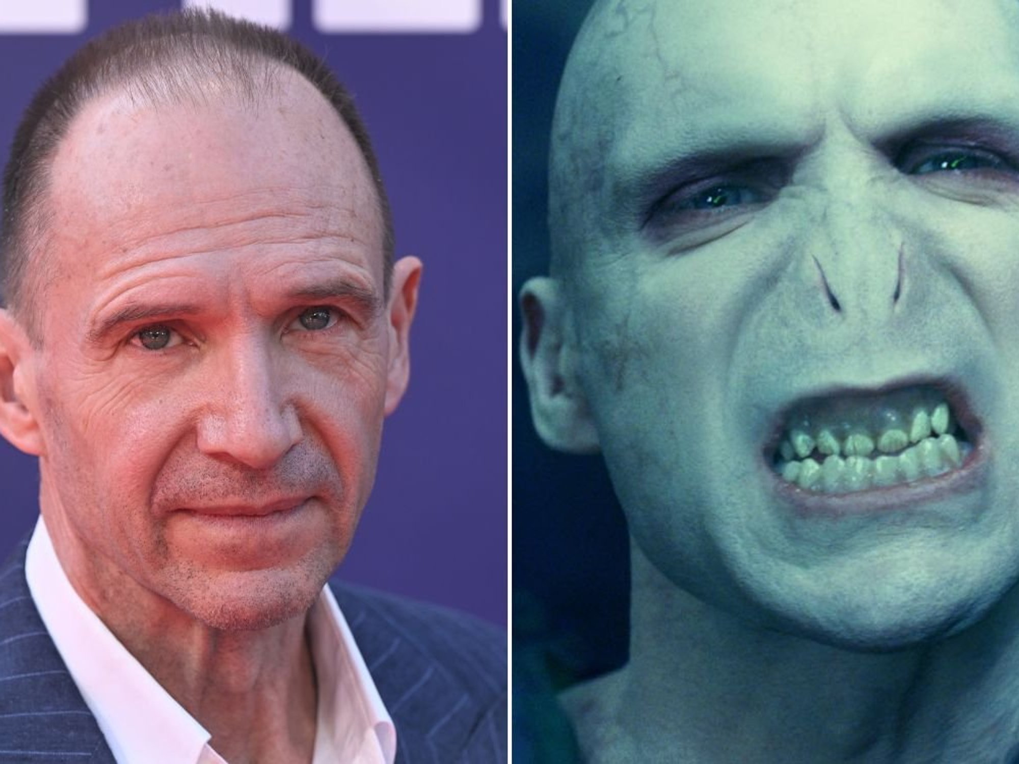Harry Potter fans in meltdown as Ralph Fiennes appears to confirm Voldemort actor for new TV series