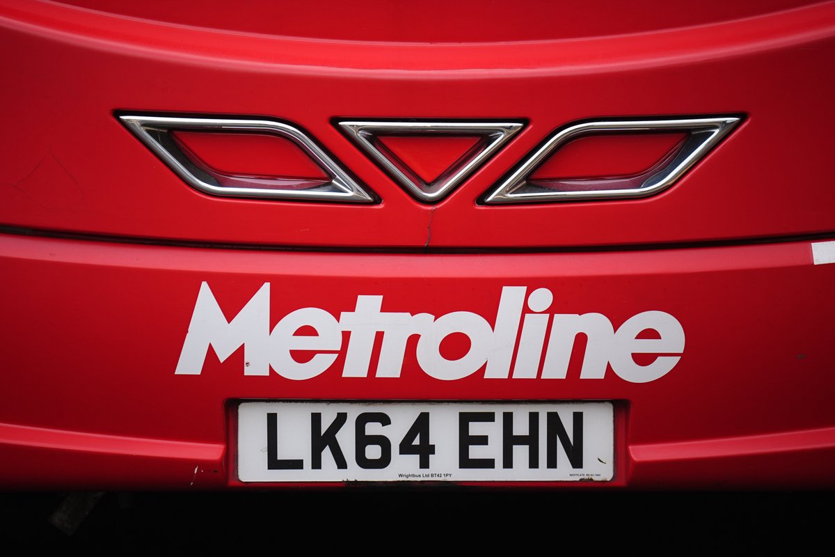 'Hero' London bus driver sacked after he chased down thief who stole passenger's necklace