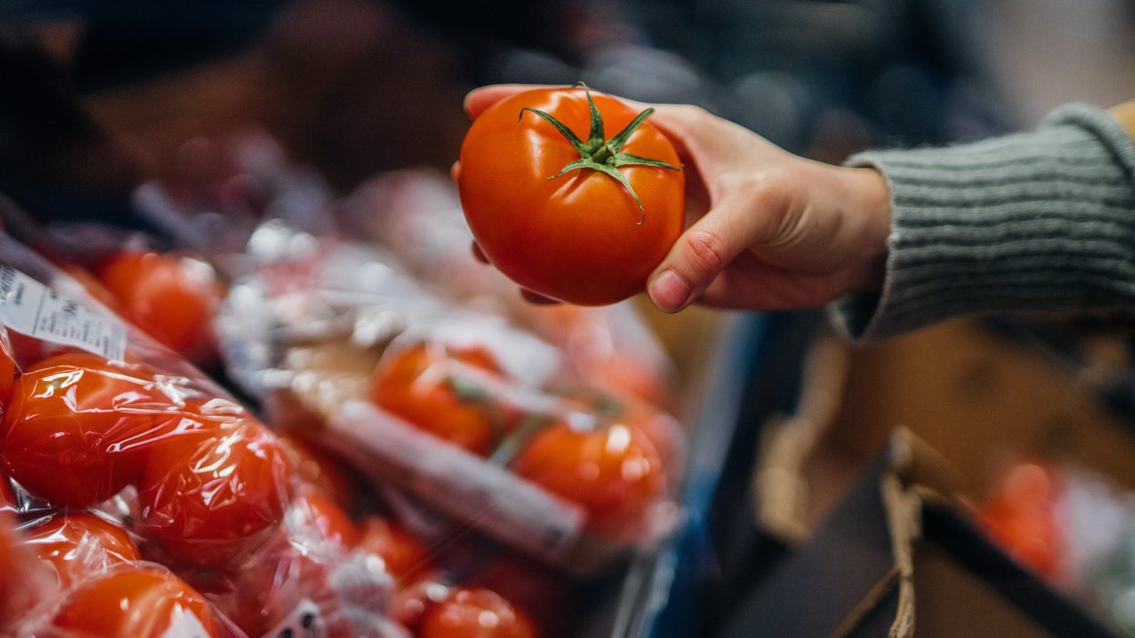 Labour’s ‘nonsensical’ junk food crackdown puts TOMATOES at risk