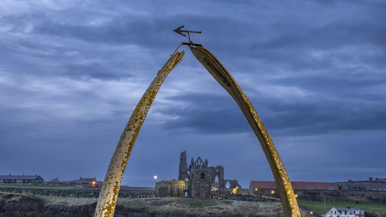 Council row erupts at historic fishing port over plans to replace iconic British landmark using whale bones
