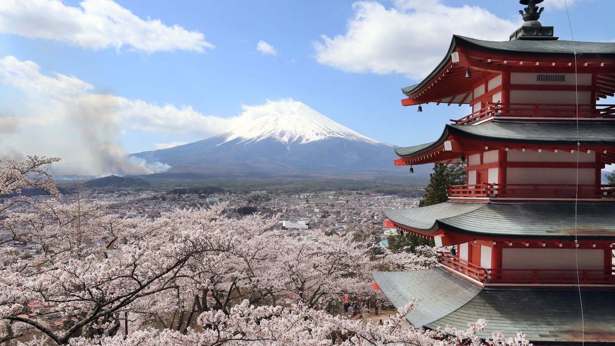 Japan's cherry blossom festival cancelled over unruly tourist ‘crisis’