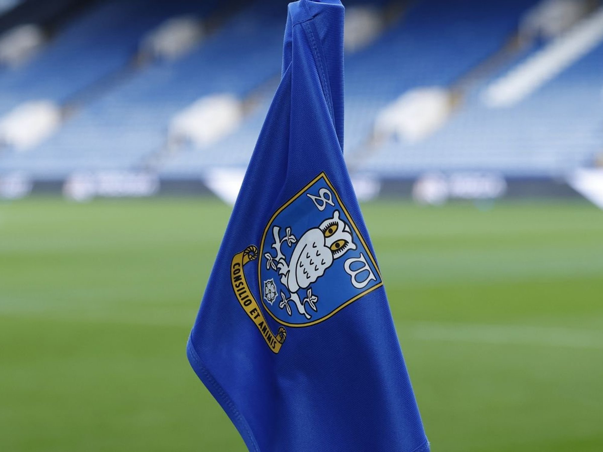 Sheffield Wednesday fan requires hospital treatment after having ear BITTEN before Millwall clash