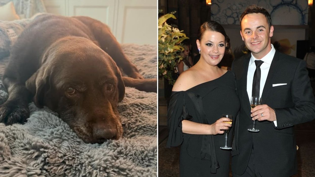 Lisa Armstrong shares news of heartbreaking loss as 'very upset' ex Ant McPartlin rushes to support