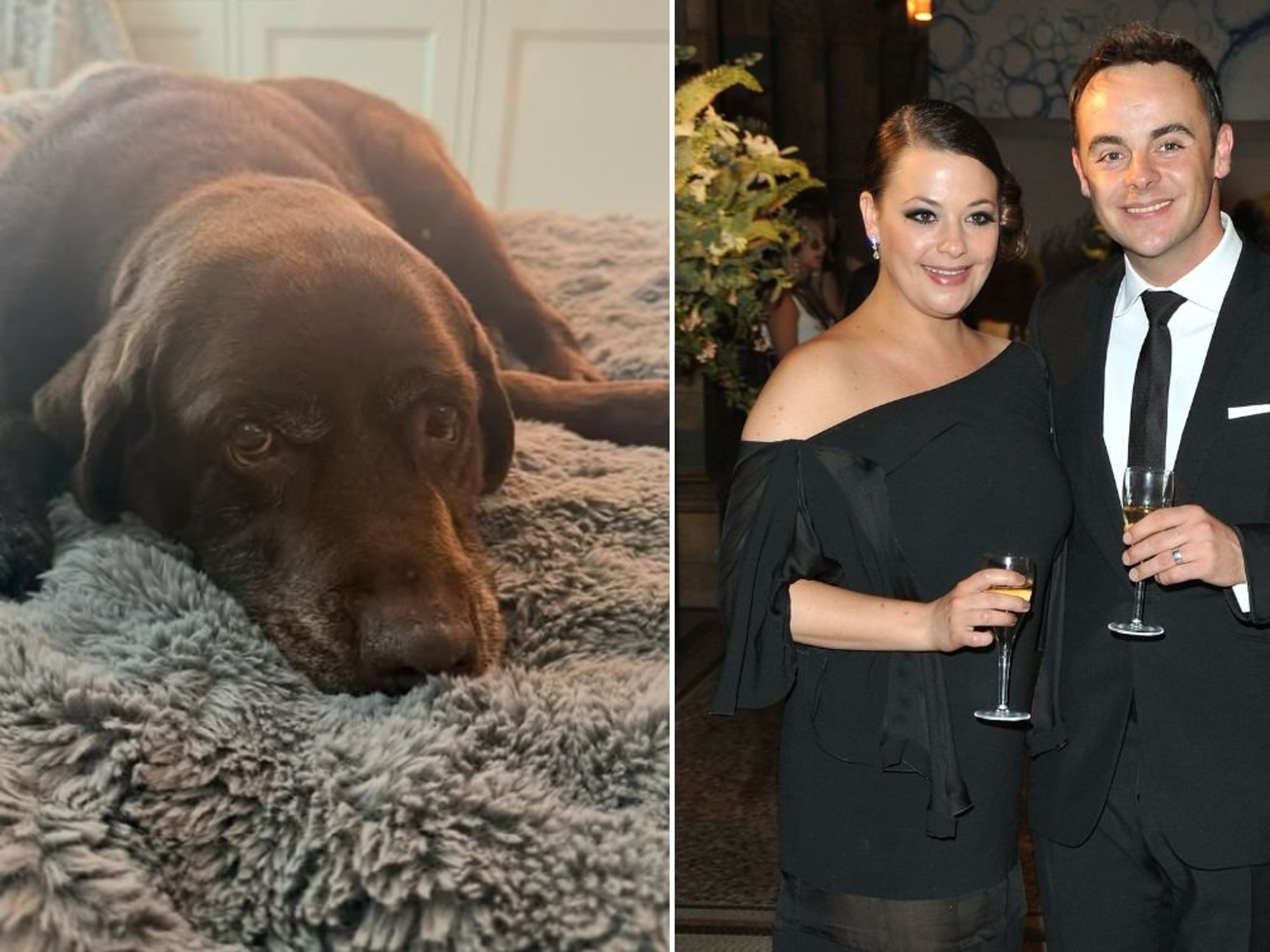 Lisa Armstrong shares news of heartbreaking loss as 'very upset' ex Ant McPartlin rushes to support