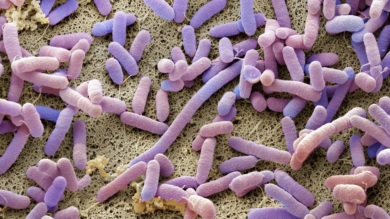 Mutant super-bug resistant to multiple modern antibiotics discovered trapped in 5,000-year-old ice