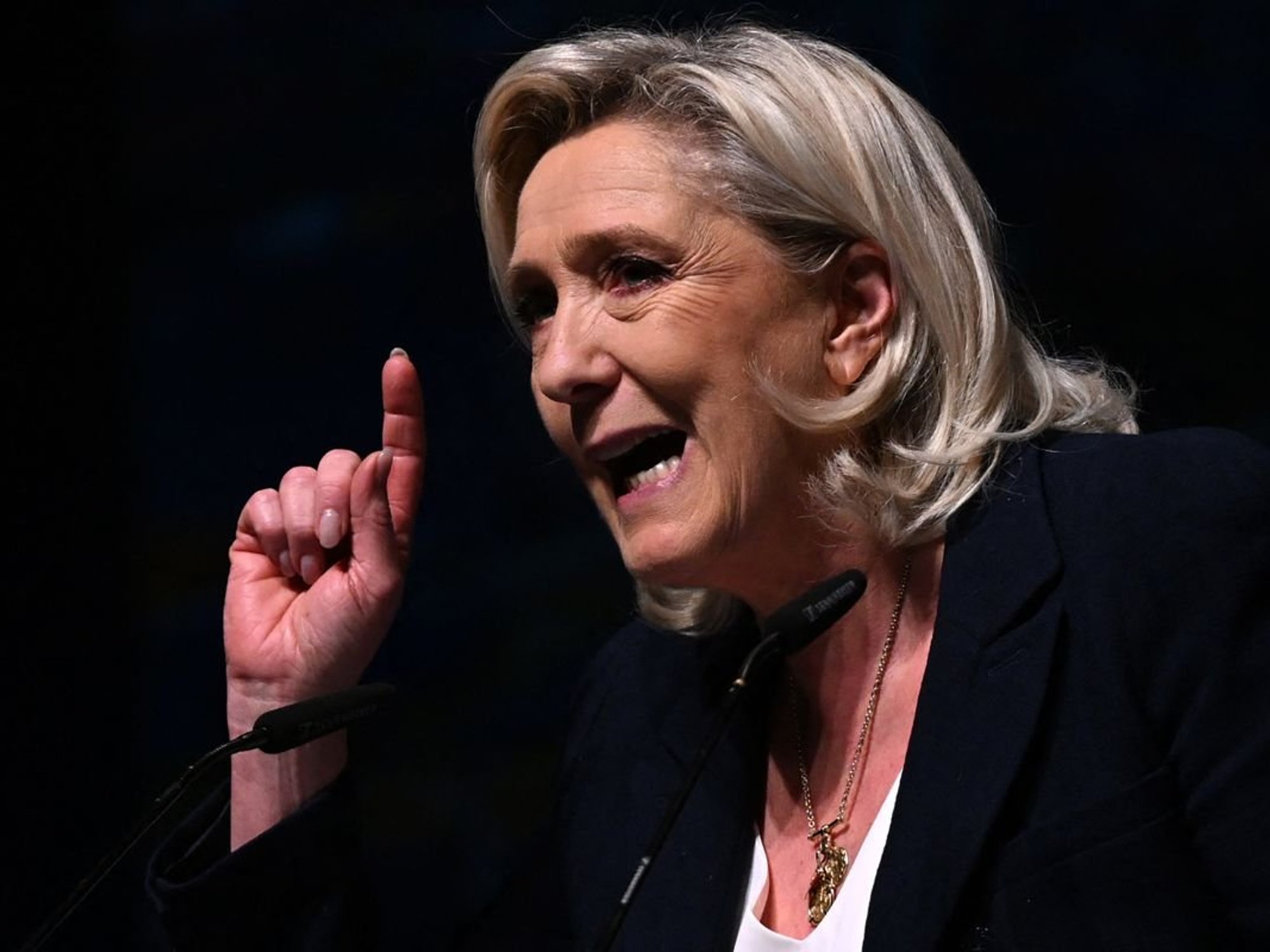 ECB chief tipped to quit to stop Marine Le Pen picking successor