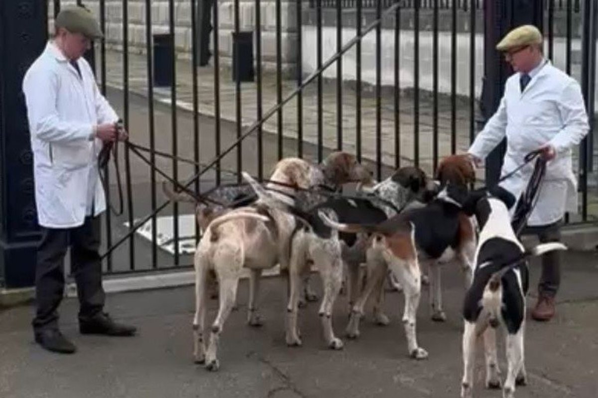 Hounds descend on Downing Street in rural protest against Keir Starmer's 'war on British countryside'
