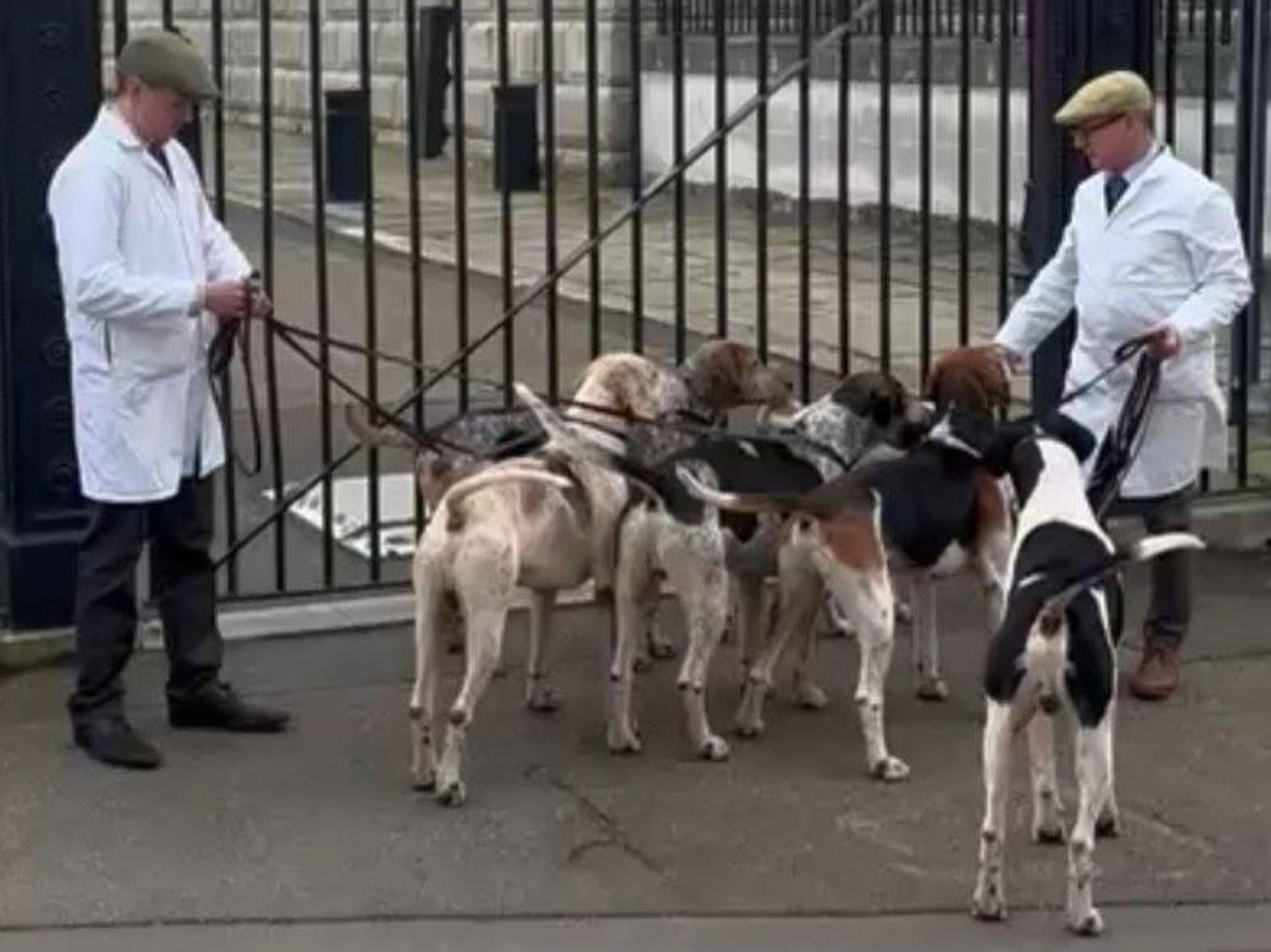 Dogs descend on Downing Street in rural protest against Keir Starmer's 'war on British countryside'