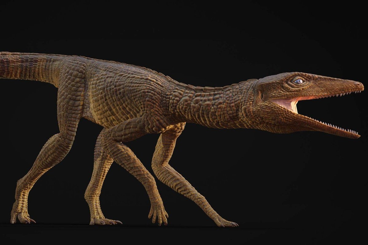 Scientists identify ancient crocodile that settled in Britain 200 million years ago