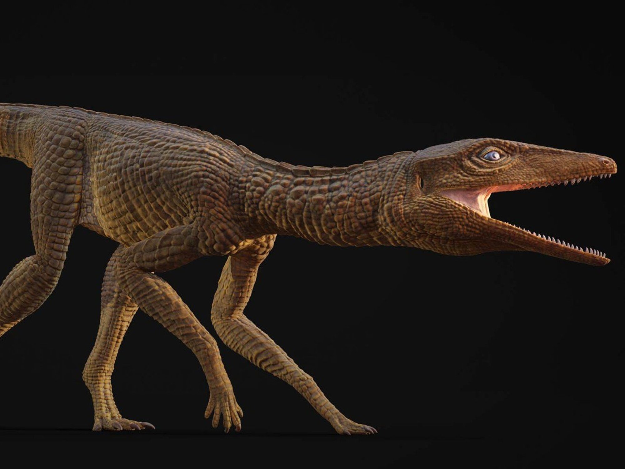 Scientists identify ancient crocodile that settled in Britain 200 million years ago