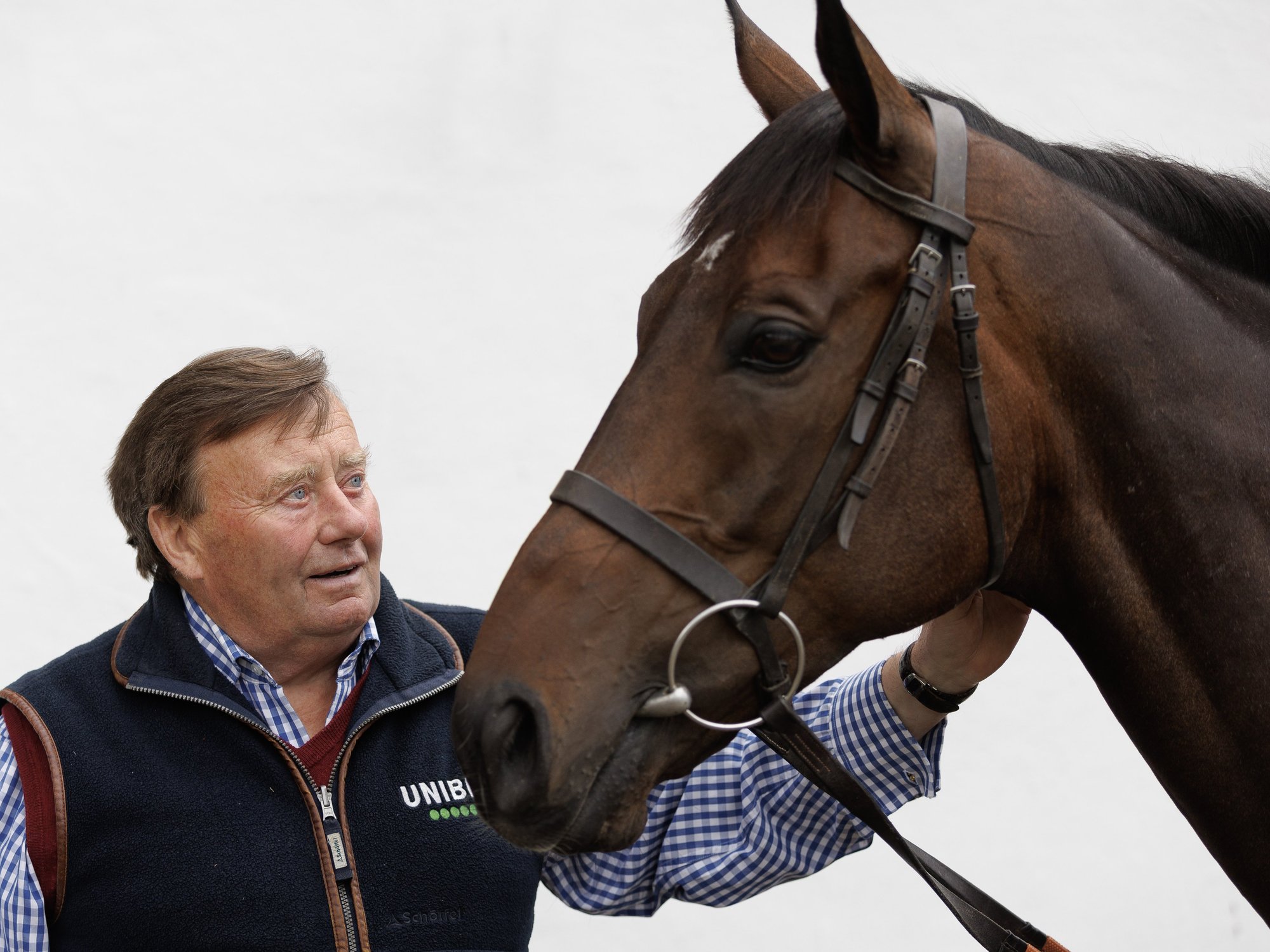 Constitution Hill pulls out of Cheltenham as Nicky Henderson releases emotional statement on iconic horse