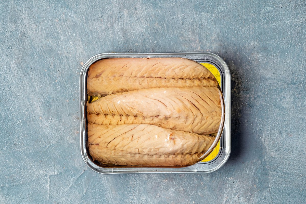 Major UK supermarket stops selling mackerel to 'protect the long-term health of our oceans'