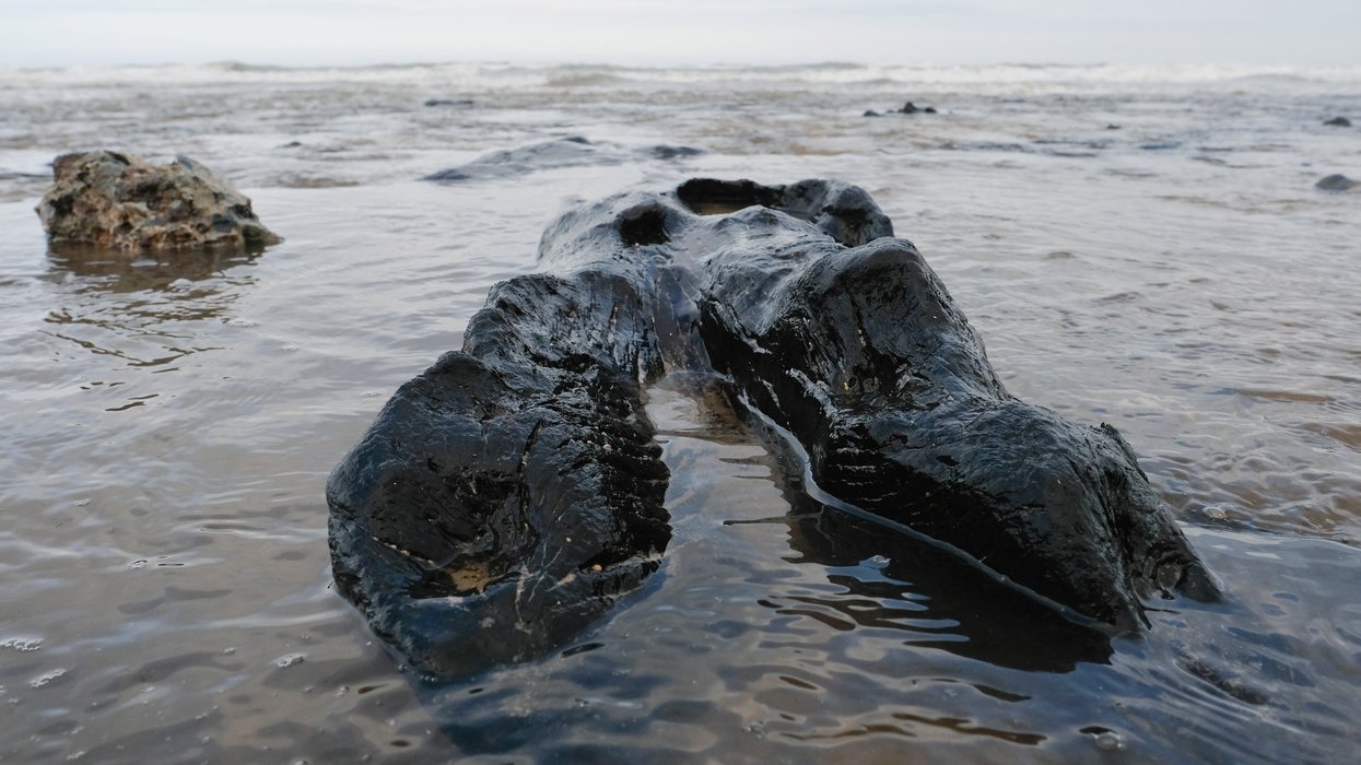 Ancient secrets revealed along iconic British coastline after sea washes sand away