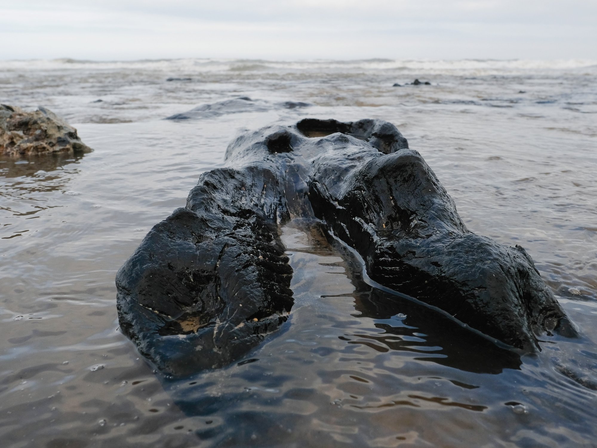 Ancient secrets revealed along iconic British coastline after sea washes sand away