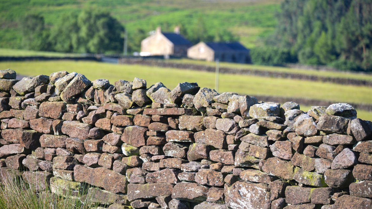 Couple wins battle to live in farmhouse after living there illegally for 28 years