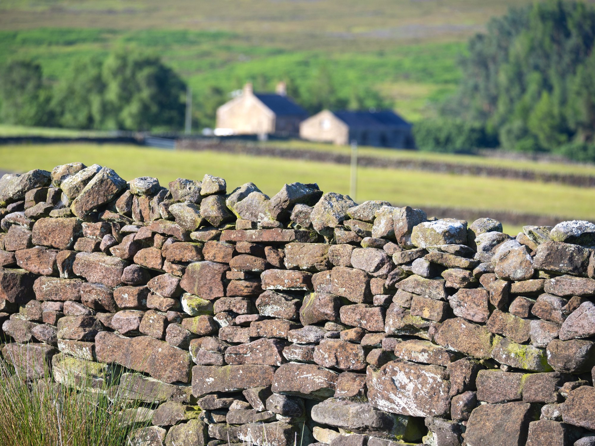 Couple wins battle to live in farmhouse after living there illegally for 28 years