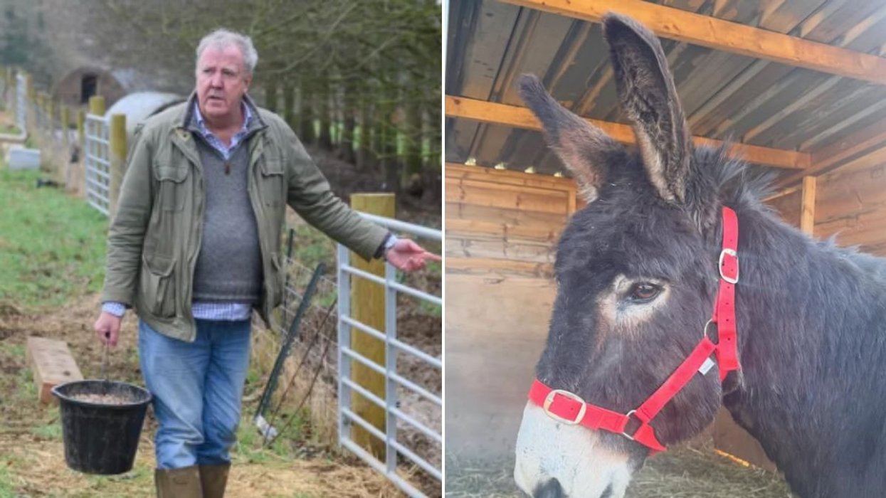 Jeremy Clarkson hits back after fans express concern over Diddly Squat update: 'We know!'