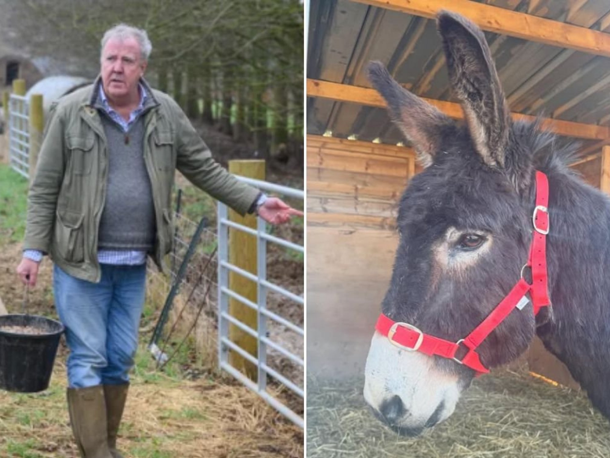 Jeremy Clarkson hits back after fans express concern over Diddly Squat update: 'We know!'