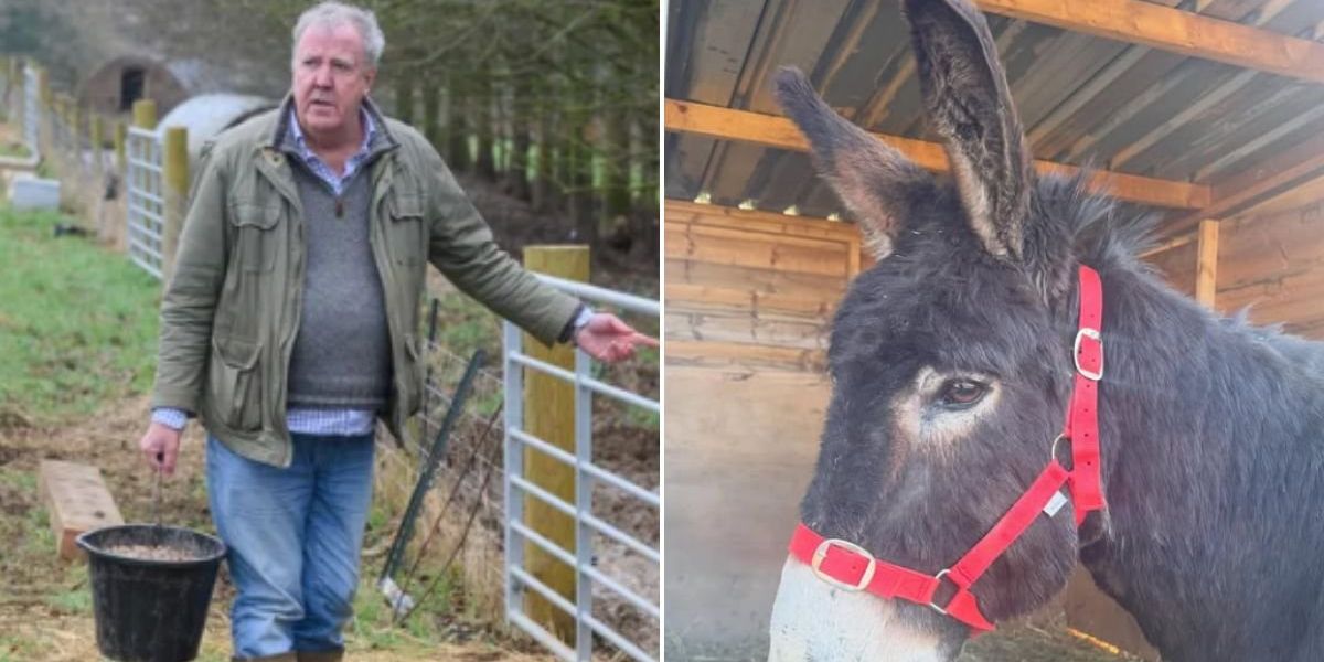 Jeremy Clarkson hits back after fans express concern over Diddly Squat update: ‘We know!’ Jeremy Clarkson hits back after fans express concern over Diddly Squat update: ‘We know!’