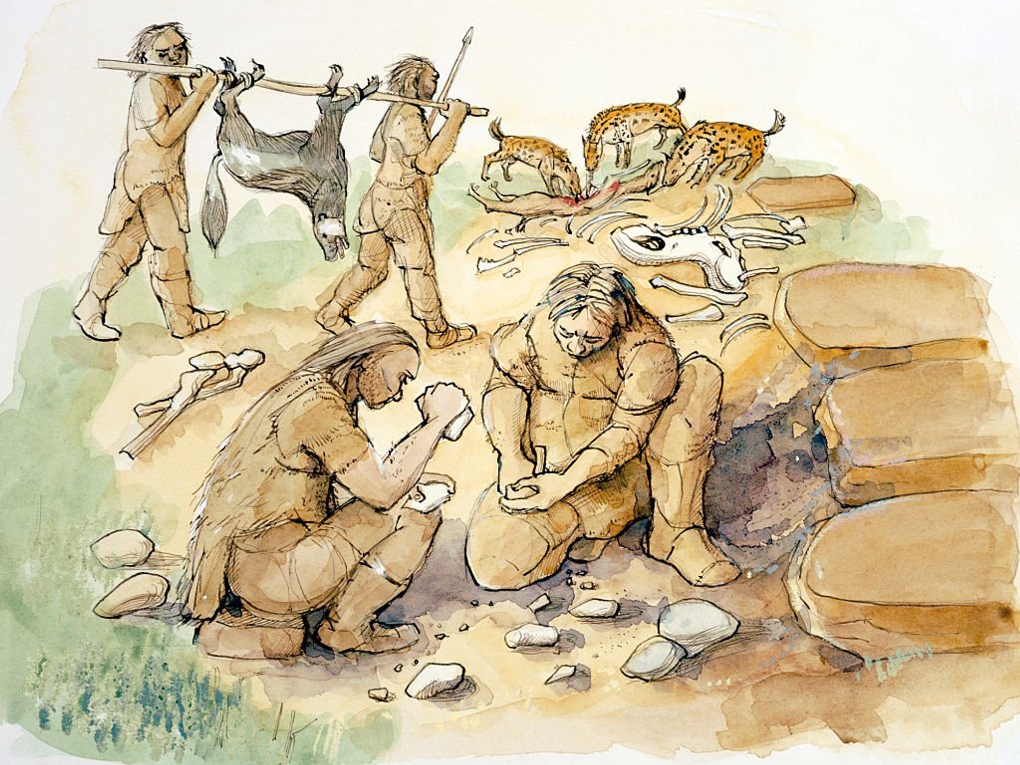 Stone Age chefs surprisingly talented cooks who ate 'complex cuisines', study reveals
